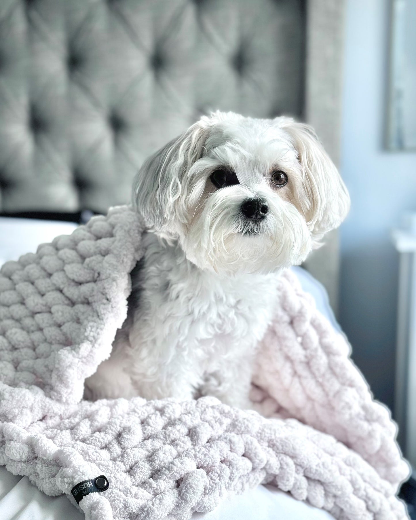 Hand-Knit Chunky Blanket (Pet / Baby)